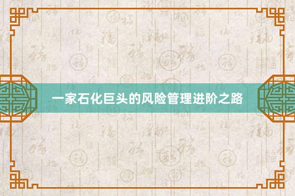 一家石化巨头的风险管理进阶之路
