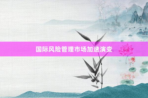 国际风险管理市场加速演变