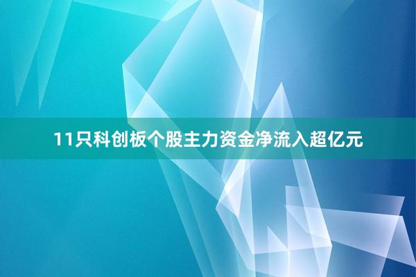 11只科创板个股主力资金净流入超亿元