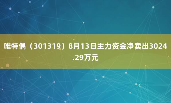 唯特偶（301319）8月13日主力资金净卖出3024.29万元