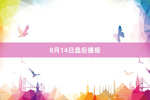 8月14日盘后播报
