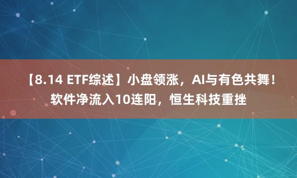 【8.14 ETF综述】小盘领涨，AI与有色共舞！软件净流入10连阳，恒生科技重挫