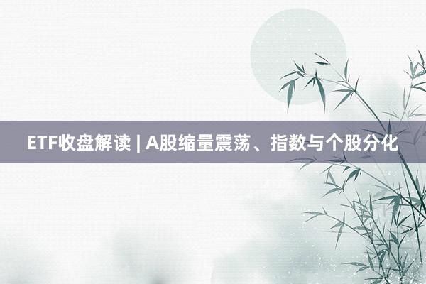 ETF收盘解读 | A股缩量震荡、指数与个股分化