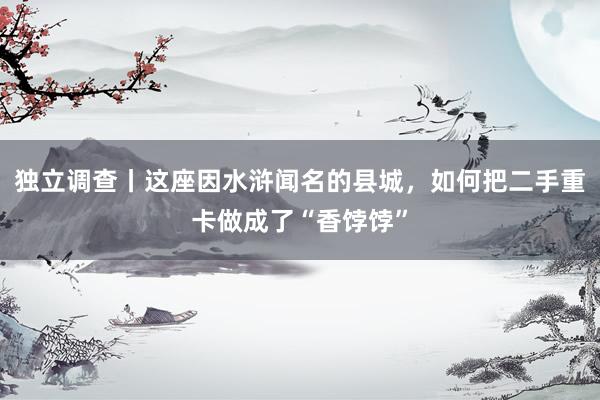 独立调查丨这座因水浒闻名的县城，如何把二手重卡做成了“香饽饽”