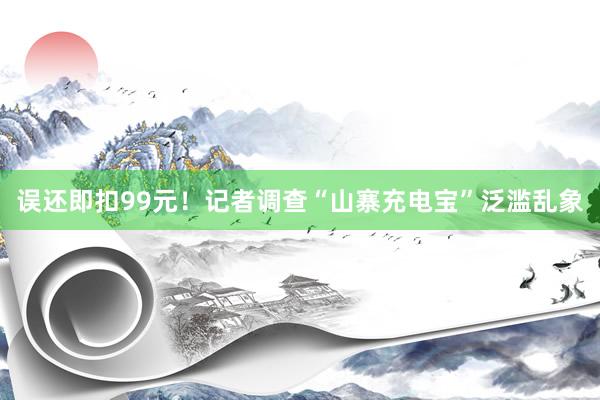 误还即扣99元！记者调查“山寨充电宝”泛滥乱象