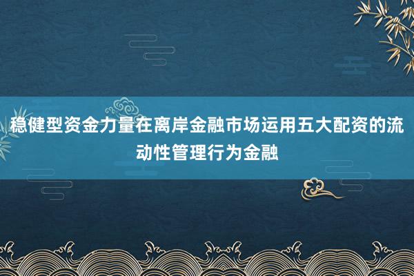 稳健型资金力量在离岸金融市场运用五大配资的流动性管理行为金融