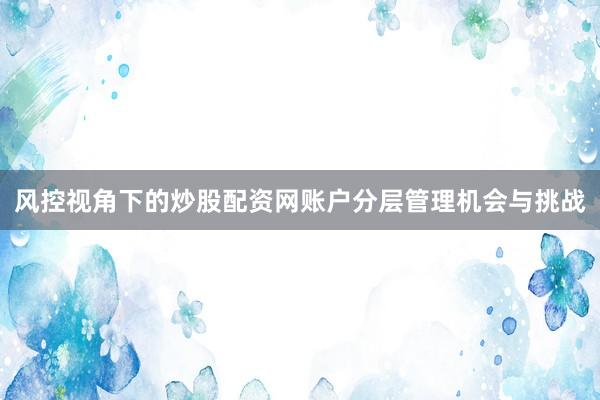 风控视角下的炒股配资网账户分层管理机会与挑战