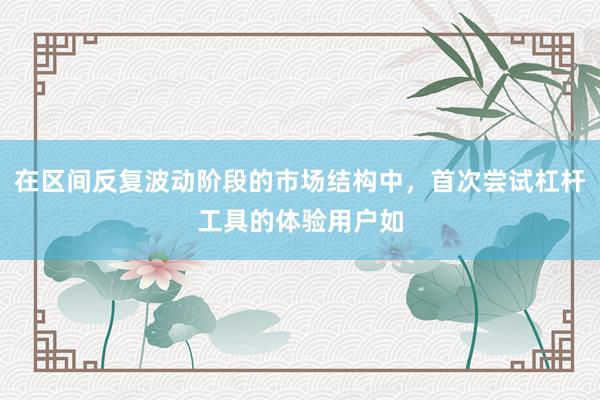 在区间反复波动阶段的市场结构中，首次尝试杠杆工具的体验用户如