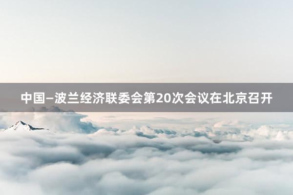 中国—波兰经济联委会第20次会议在北京召开