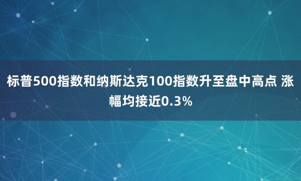 标普500指数和纳斯达克100指数升至盘中高点 涨幅均接近0.3%