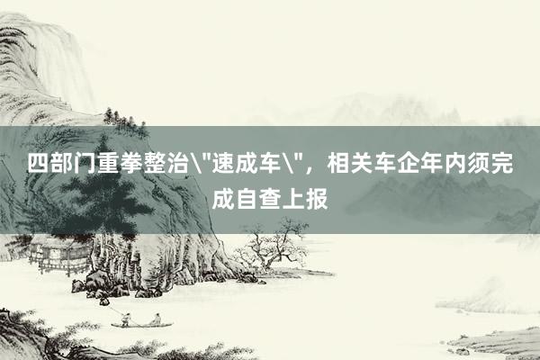 四部门重拳整治＂速成车＂，相关车企年内须完成自查上报