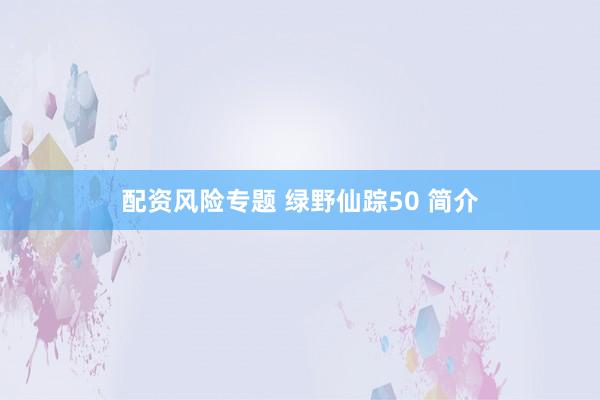 配资风险专题 绿野仙踪50 简介