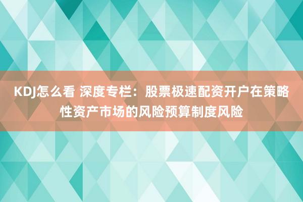 KDJ怎么看 深度专栏：股票极速配资开户在策略性资产市场的风险预算制度风险