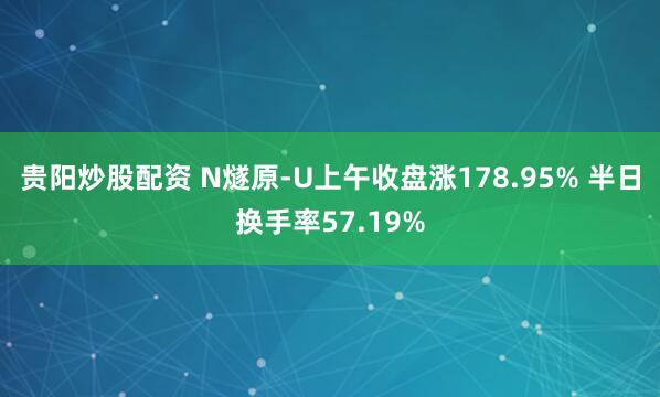 贵阳炒股配资 N燧原-U上午收盘涨178.95% 半日换手率57.19%