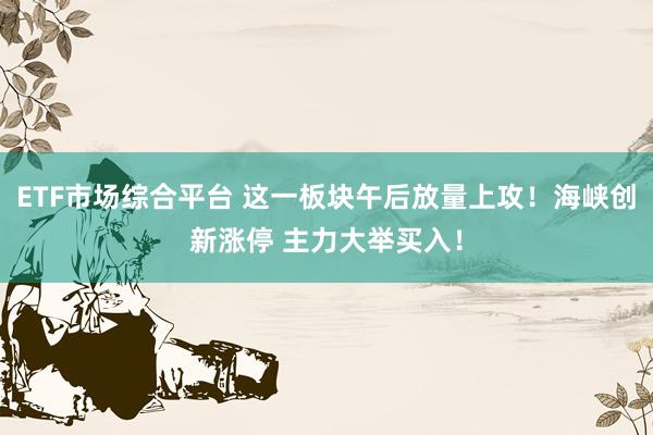 ETF市场综合平台 这一板块午后放量上攻！海峡创新涨停 主力大举买入！