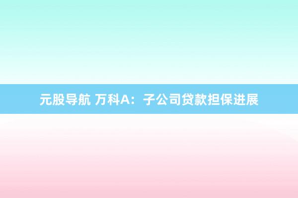 元股导航 万科A：子公司贷款担保进展