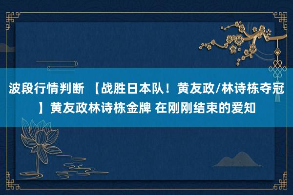 波段行情判断 【战胜日本队！黄友政/林诗栋夺冠】黄友政林诗栋金牌 在刚刚结束的爱知