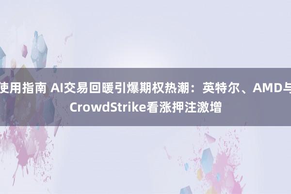 使用指南 AI交易回暖引爆期权热潮：英特尔、AMD与CrowdStrike看涨押注激增