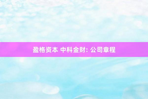 盈格资本 中科金财: 公司章程