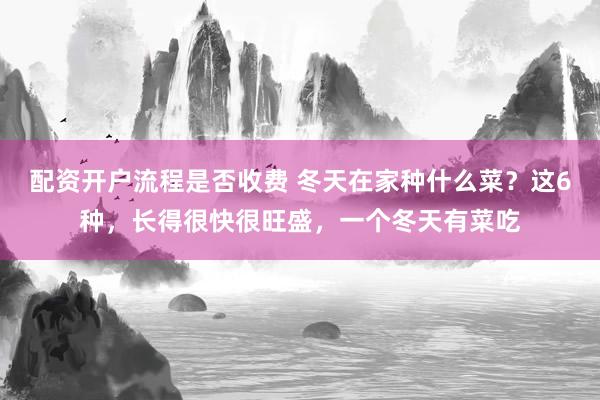 配资开户流程是否收费 冬天在家种什么菜？这6种，长得很快很旺盛，一个冬天有菜吃