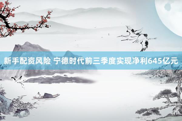 新手配资风险 宁德时代前三季度实现净利645亿元