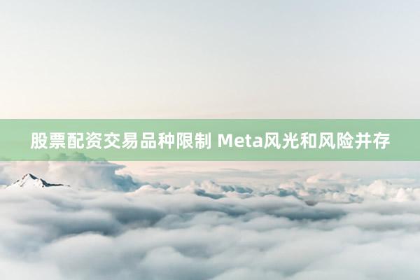 股票配资交易品种限制 Meta风光和风险并存